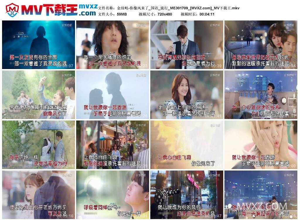 金玟岐-你像风来了_国语_流行_ME301709